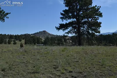 431 High Chateau Road, Florissant, CO 80816 - Photo 36