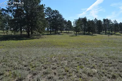 431 High Chateau Road, Florissant, CO 80816 - Photo 28