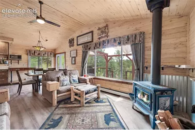 126 Aspen Circle, Divide, CO 80814 - Photo 8