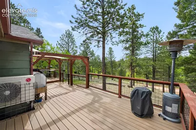 126 Aspen Circle, Divide, CO 80814 - Photo 28