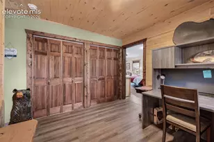 126 Aspen Cir, Divide, CO 80814 - Photo 22