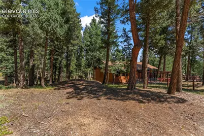 101 Heather Circle, Divide, CO 80814 - Photo 36