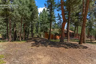 101 Heather Cir, Divide, CO 80814 - Photo 36