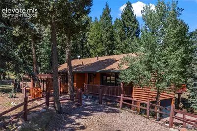 101 Heather Circle, Divide, CO 80814 - Photo 4