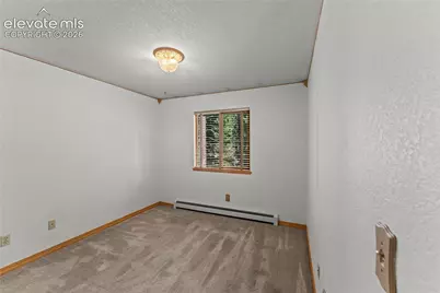 101 Heather Circle, Divide, CO 80814 - Photo 20