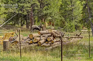 26 Howe Ct, Black Hawk, CO 80422 - Photo 38