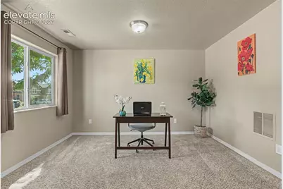 984 Diamond Rim Drive, Colorado Springs, CO 80921 - Photo 4