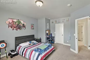 589 Burke Hollow Dr, Monument, CO 80132 - Photo 48