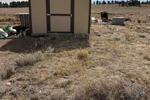 1925 Doe Valley Rd, Guffey, CO 80820 - Photo 28