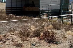 1925 Doe Valley Rd, Guffey, CO 80820 - Photo 26