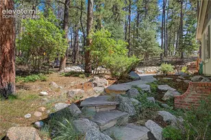 1250 Woodmoor Dr, Monument, CO 80132 - Photo 4