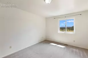 3050 Homestake Pl, Florissant, CO 80816 - Photo 38