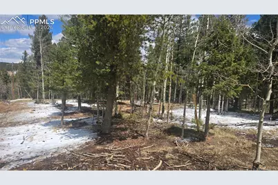 144 Little Bear Peak Road, Florissant, CO 80816 - Photo 1