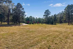 18415 Lake Dr, Monument, CO 80132 - Photo 38