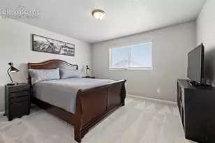 9240 Lytle Grv, Colorado Springs, CO 80927 - Photo 14