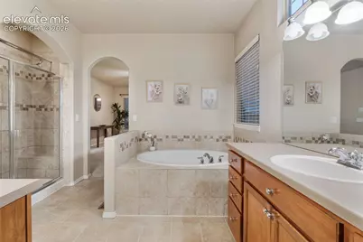 10334 Buck Rake Court, Fountain, CO 80817 - Photo 20