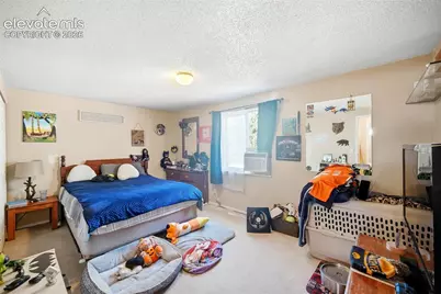 2220 Shawnee Drive, Colorado Springs, CO 80915 - Photo 18
