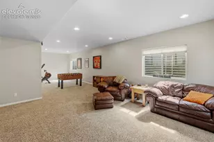 19915 Alexandria Dr, Monument, CO 80132 - Photo 22