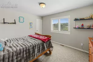19915 Alexandria Dr, Monument, CO 80132 - Photo 20