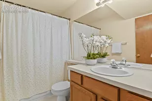 4310 Morning Glory Rd, Colorado Springs, CO 80920 - Photo 34
