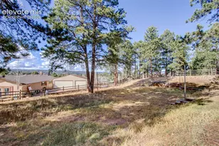 1040 Forest Hill Rd, Woodland Park, CO 80863 - Photo 32