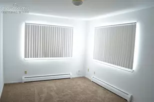 111 Hettig Ave, Cripple Creek, CO 80813 - Photo 6