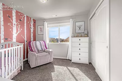 11077 Avena Road, Peyton, CO 80831 - Photo 10