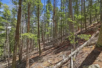 7070 County Road 1, Cripple Creek, CO 80813 - Photo 24