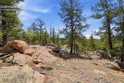 7070 County Road 1, Cripple Creek, CO 80813 - Photo 10