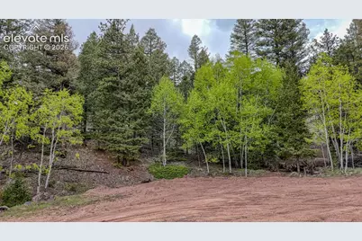 918 Pinon Lane, Florissant, CO 80816 - Photo 1
