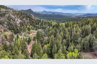 918 Pinon Lane, Florissant, CO 80816 - Photo 20