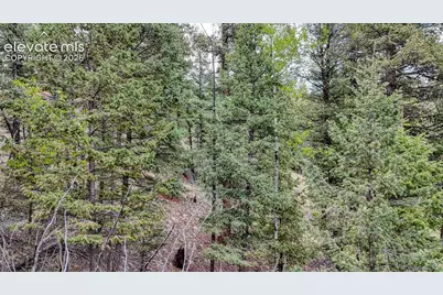 918 Pinon Lane, Florissant, CO 80816 - Photo 16