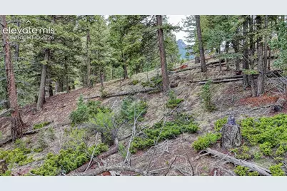 918 Pinon Lane, Florissant, CO 80816 - Photo 12