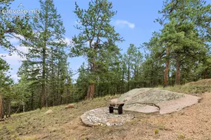 127 Carlton Cir, Florissant, CO 80816 - Photo 42