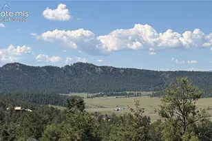 127 Carlton Cir, Florissant, CO 80816 - Photo 46