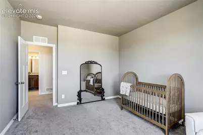 7664 Alpine Daisy Drive, Colorado Springs, CO 80925 - Photo 42