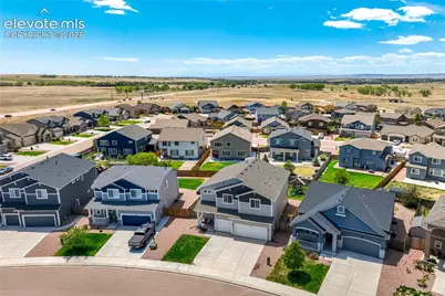 7664 Alpine Daisy Drive, Colorado Springs, CO 80925 - Photo 4