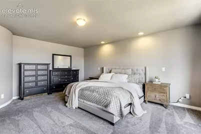 7664 Alpine Daisy Drive, Colorado Springs, CO 80925 - Photo 46