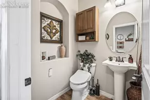 16231 Thunder Cat Wy, Monument, CO 80132 - Photo 40