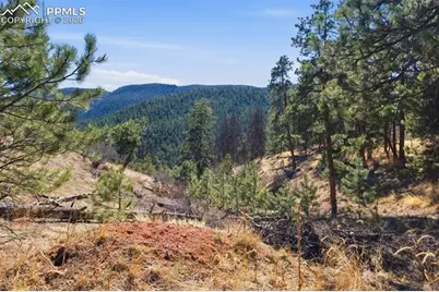 11070 W Highway 24, Cascade, CO 80819 - Photo 26