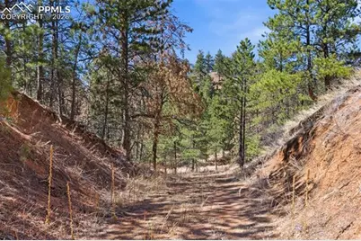 11070 W Highway 24, Cascade, CO 80819 - Photo 30