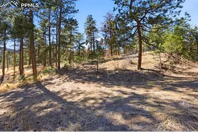 11070 W Highway 24, Cascade, CO 80819 - Photo 38