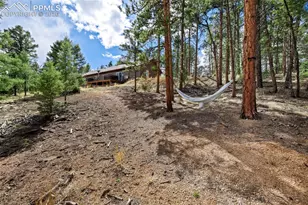 858 Fossil Creek Rd, Florissant, CO 80816 - Photo 44