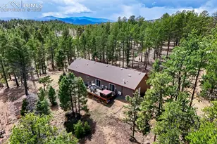 858 Fossil Creek Rd, Florissant, CO 80816 - Photo 46