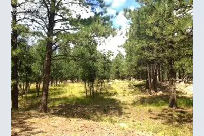 667 Silver Oak Grove, Colorado Springs, CO 80906 - Photo 6