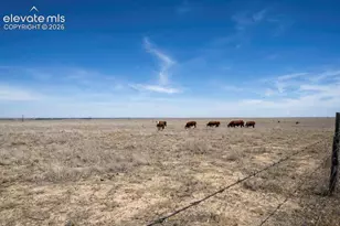 33973 Co Rd AA, La Junta, CO 81050 - Photo 10