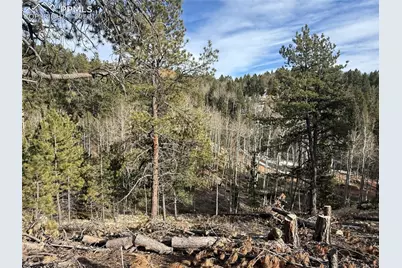 162 Eagle Drive, Divide, CO 80813 - Photo 4