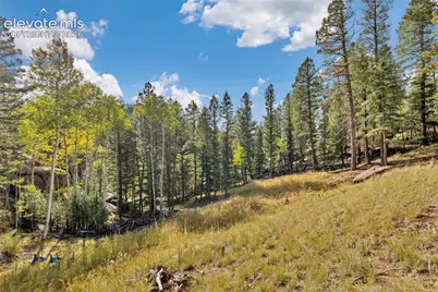926 Pinon Lane, Florissant, CO 80816 - Photo 4