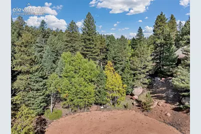 926 Pinon Lane, Florissant, CO 80816 - Photo 2