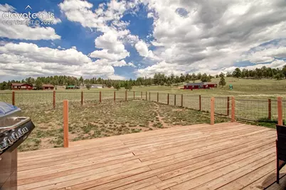 378 High Pasture Road, Florissant, CO 80816 - Photo 32